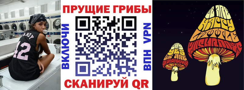 купить наркотик  Петухово  Галлюциногенные грибы ЛСД 